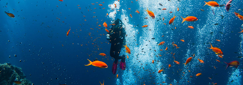 GoPro-RUGGED WATERPROOF TO 33 FEET
