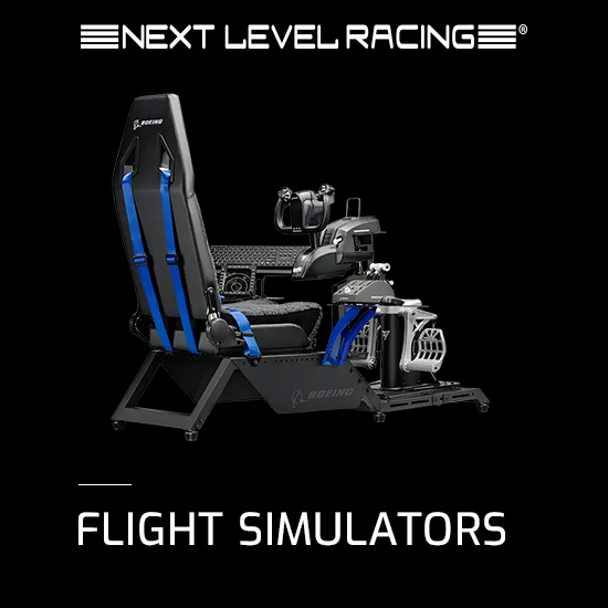 FLIGHT SIMULATOR