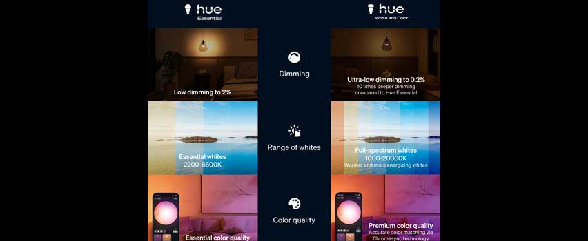 Essential Bulbs Lifestyle