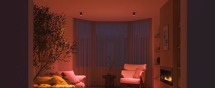 Essential Bulbs Lifestyle