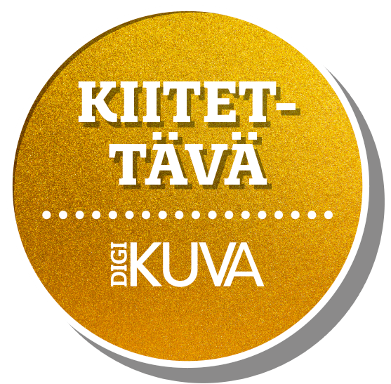 Topscorer Finland