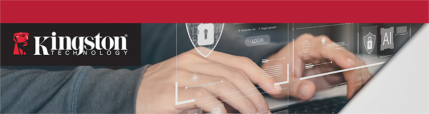 Kingston Encrypted USB Flash Drive