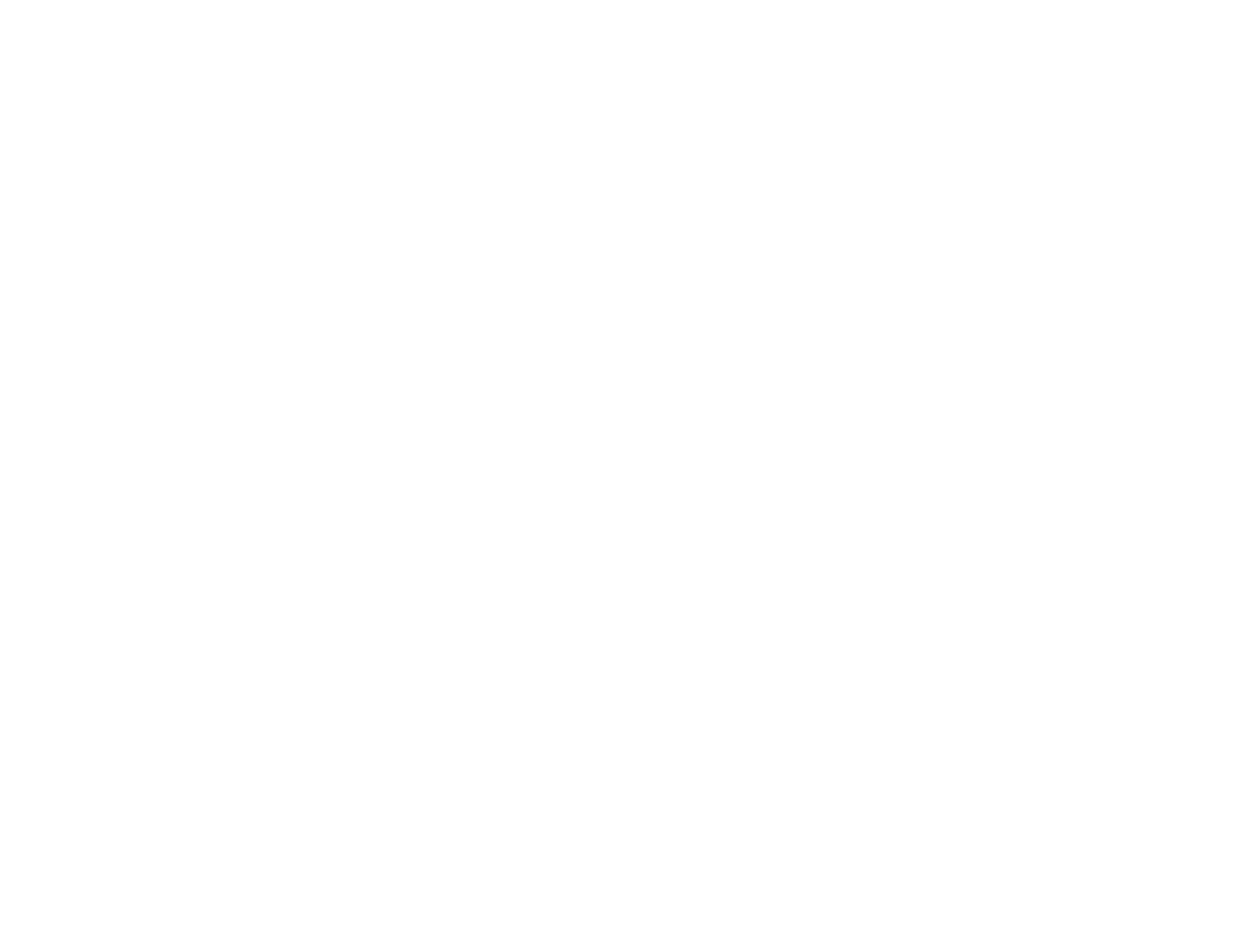 Never Settle Logo